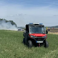 IMG_4279.jpeg